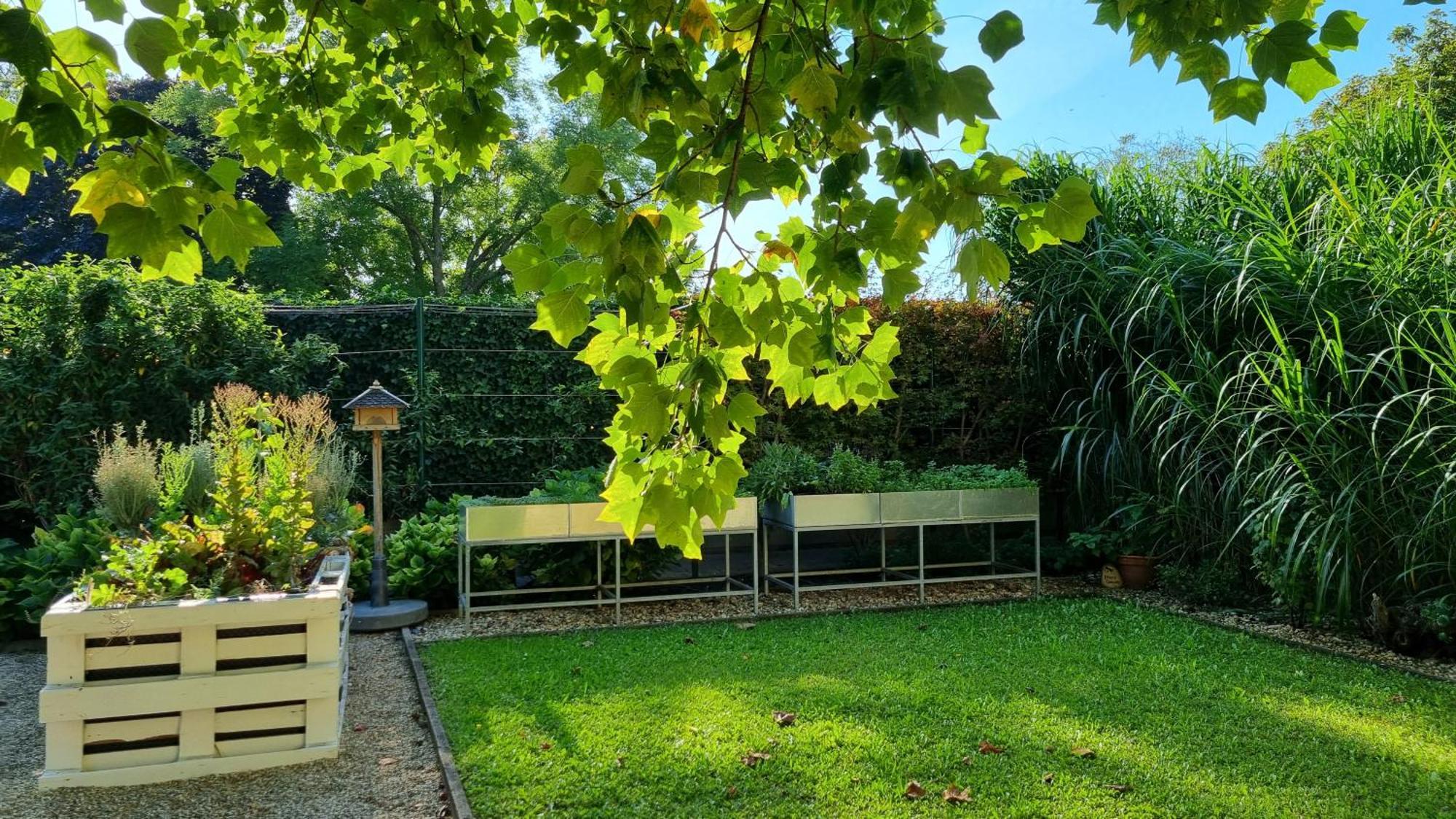 Birkenhof Gols - B & B - Wohlfuehl Hotel Mit Wochenend-Restaurant Exteriér fotografie