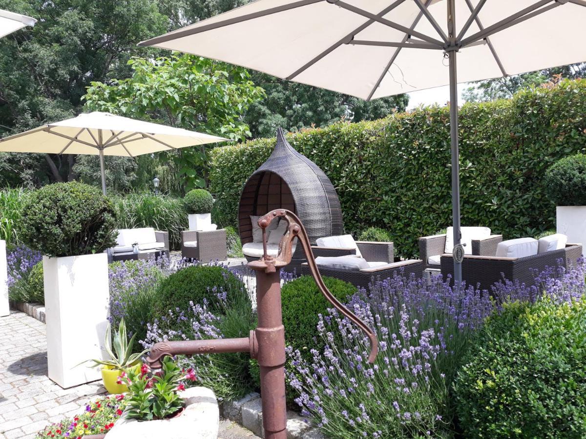 Birkenhof Gols - B & B - Wohlfuehl Hotel Mit Wochenend-Restaurant Exteriér fotografie
